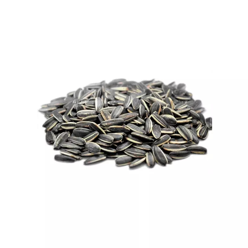 SEMILLA DE GIRASOL BOLSA 100G