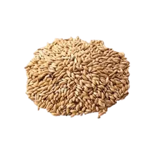ALPISTE 500G