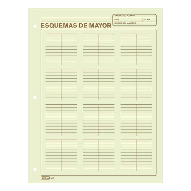 BLOCK DE ESQUEMA DE MAYOR CONTABILIDAD CON 50