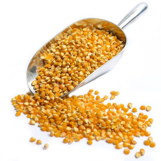 MAIZ PALOMERO 500G