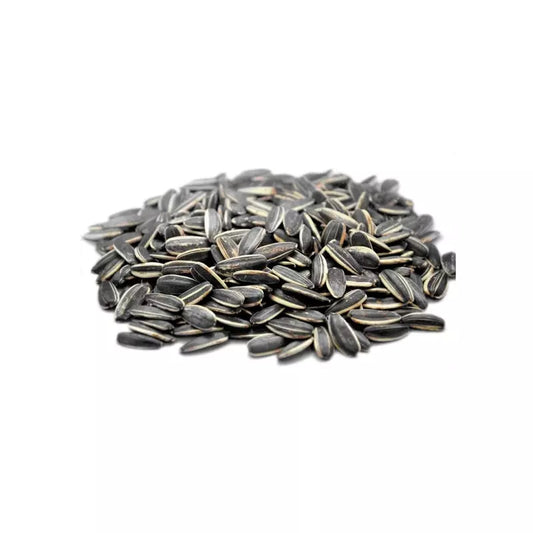 SEMILLA DE GIRASOL BOLSA 100G