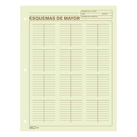 BLOCK DE ESQUEMA DE MAYOR CONTABILIDAD CON 50