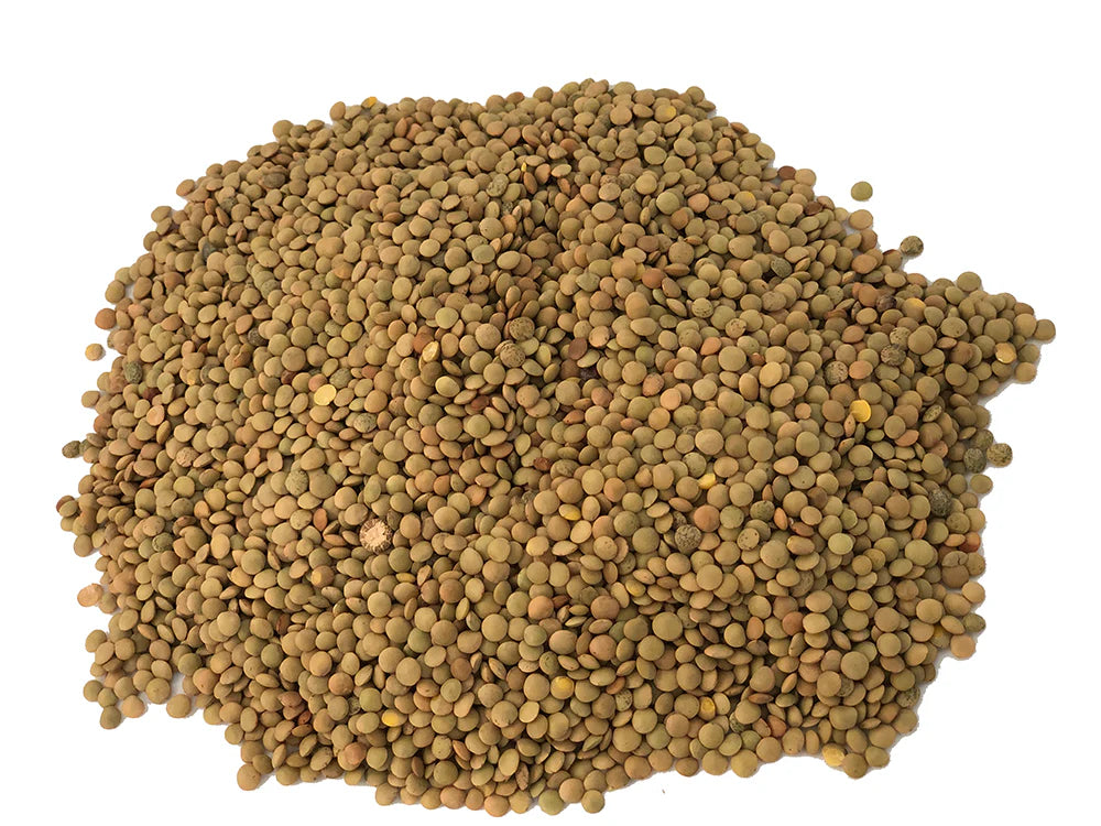 LENTEJA BOLSA 170GR